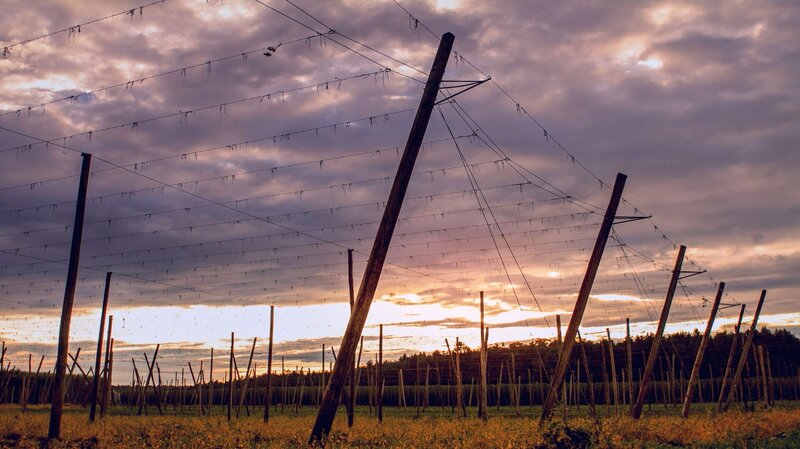 Bild: BR/​Filmbüro Münchner Freiheit