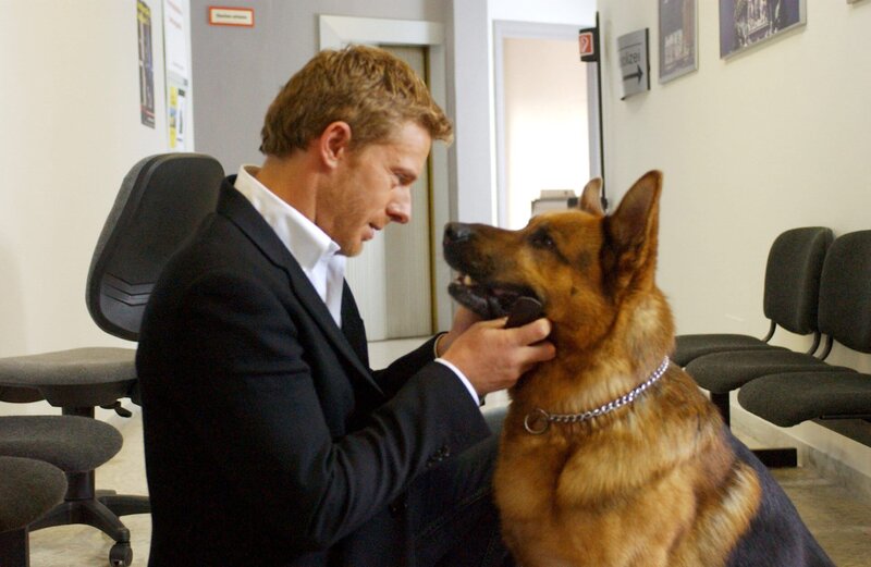 Start der neuen Staffel IX: Kommissar Rex „Comeback für Rex“. Im Bild: Rex und Kommissar Lorenzo Fabbri (Kaspar Capparoni) empfinden sofort Sympathie für einander. – Bild: ORF 2