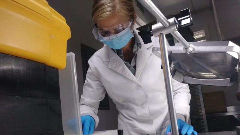 Forensic Scientists take a look at Joyces exhumed body for any traces of DNA. – Bild: Discovery Communications