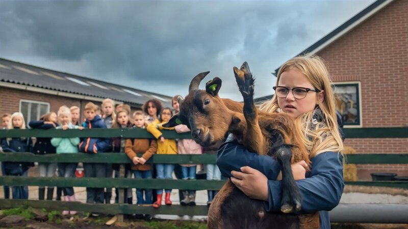 Tier-Aura 1; – Bild: NDR/​NL Film/​Jaap Vrenegoor