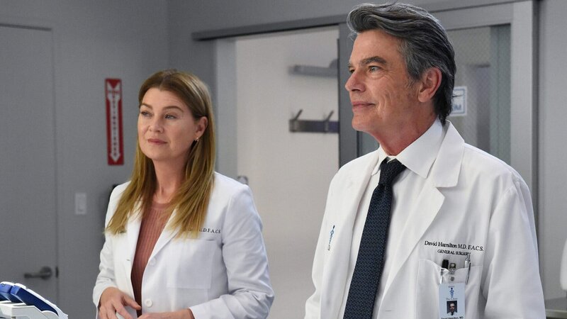 Zwei Starchirurgen sind sich einig: Ellen Pompeo als Dr. Meredith Grey, Peter Gallagher als Dr. David Hamilton – Bild: SRF/​ABC Studios