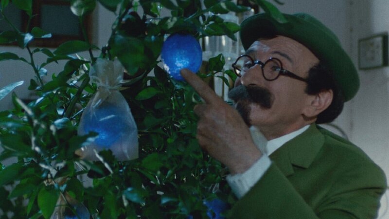 Professor Bienlein (Félix Fernández) ist so fasziniert von den blauen Orangen, dass es ihm zum Verhängnis wird. – Bild: ZDF und Alliance de Production Cinématographique