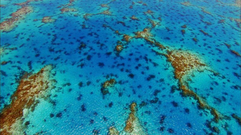 Seichte Meere sind voller Leben. Trocknen sie aus hinterlassen sie nicht nur jede Menge Salz, sondern auch wertvolles Erdöl. – Bild: ZDF und BBC/​Dirk Nel