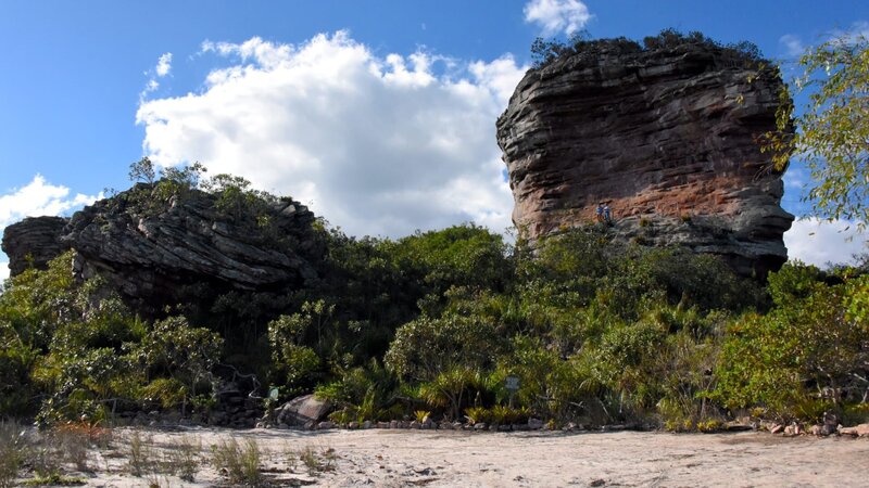 Die ersten Amerikaner hinterließen zahlreiche Malereien, viele davon in luftiger Höhe. – Bild: ZDF und Stefan Zengerle