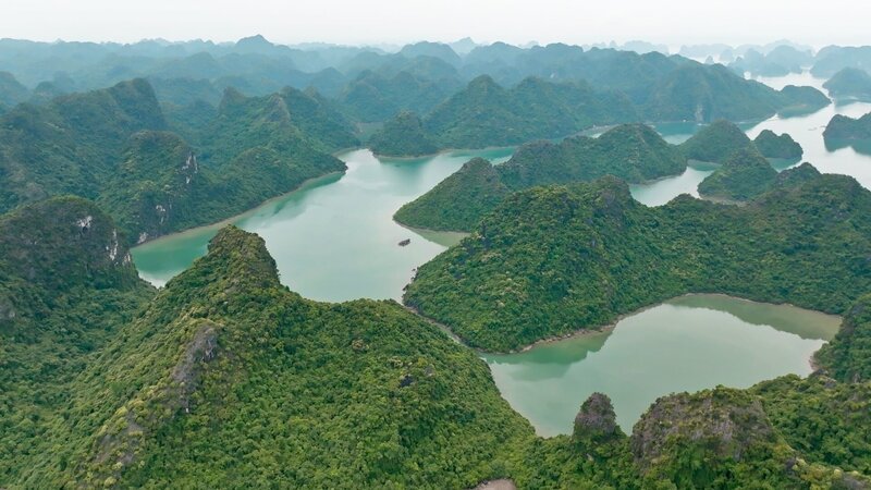 Auf den Felsen der Halong Bucht leben Tiere, die es sonst nirgendwo auf der Welt gibt. – Bild: ZDF