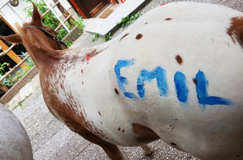 Schon bei ihrer ersten Begegnung fanden Emil und Rupert einen ganz besonderen Draht zueinander. – Bild: MDR/SWR Schon bei ihrer ersten Begegnung fanden Emil und Rupert einen ganz besonderen Draht zueinander. – Bild: MDR/SWR