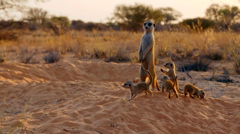 Bild: WDR/​Plimsoll Productions