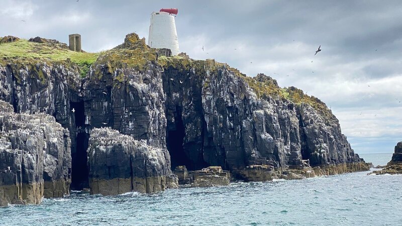 Die „Isle of May“ etwa acht Kilometer vor der Küste von Anstruther gehört heute ganz den Seevögeln. – Bild: 3sat