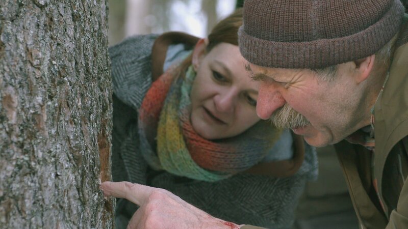 Bildhauer und Haselfichte-Experte Kassian Erhart und Instrumentenbauerin Claudia Unterkofler. – Bild: megaherz gmbh film und fernsehen