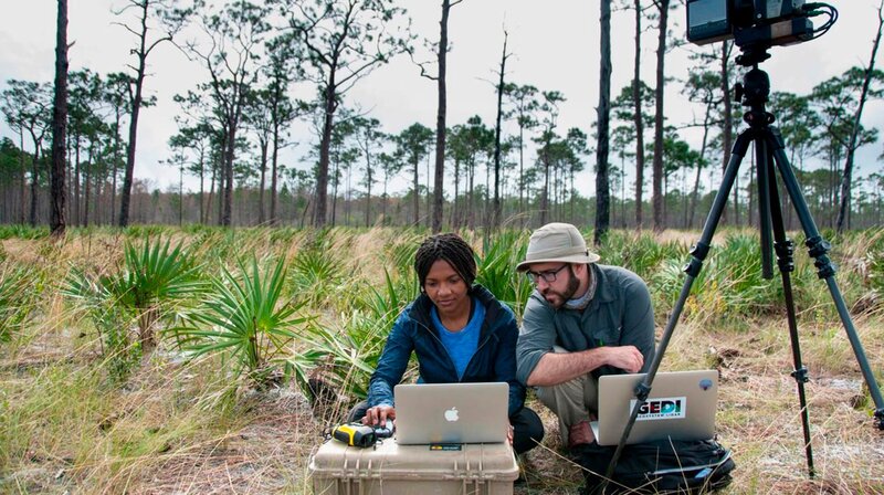 Geophysiker vermessen ein Waldgebiet – Bild: phoenix/​ZDF