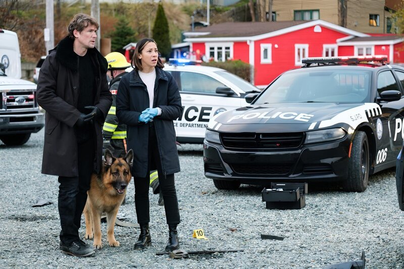 Charlie (JOHN REARDON), Rex (DIESEL VOM BURGIMWALD) and Sarah (MAYKO NGUYEN) – Bild: Derm Carberry