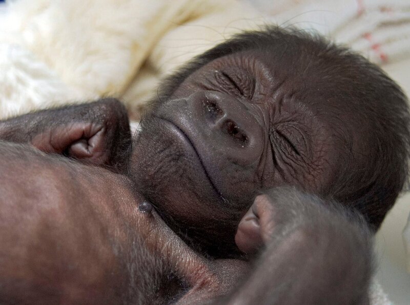 Bild: SWR/​Thorsten Backofen