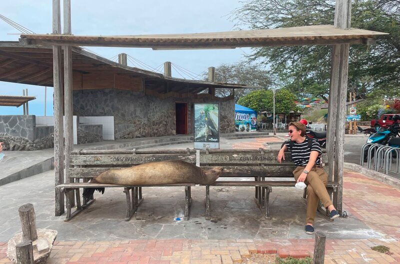 Ein Plätzchen auf der Bank zu ergattern ist Glückssache auf den Galapagosinseln. – Bild: phoenix/​SWR