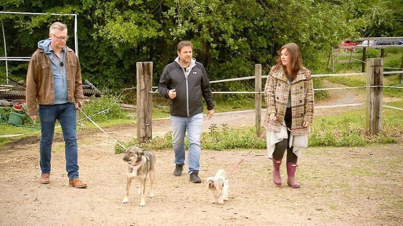 Martin Rütter (M.) besucht Ralf und Katharina mit Mischling Chewbacca. – Bild: TVNOW /​ Mina Tv
