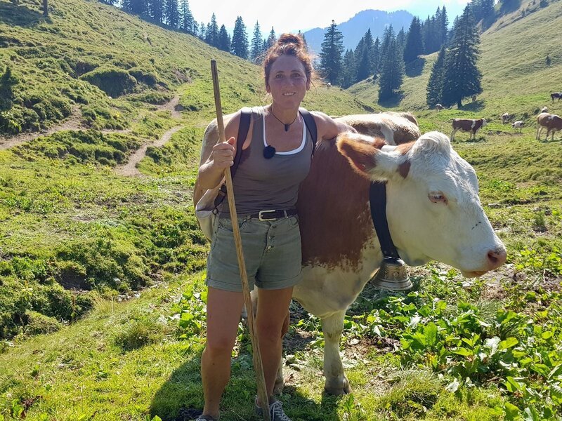 Vier Monate lang im Jahr bleiben die Kühe mit Sennerin Martina Fischer auf der Alm. – Bild: ZDF Vier Monate lang im Jahr bleiben die Kühe mit Sennerin Martina Fischer auf der Alm. – Bild: ZDF