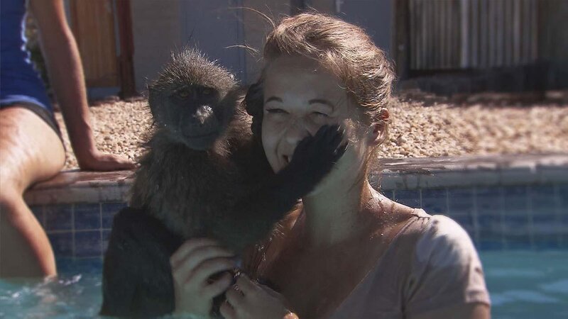 . – Bild: ANIXE HD