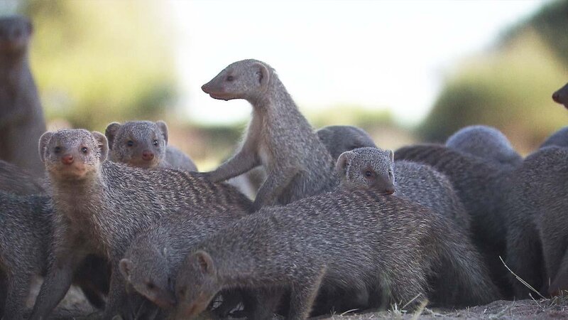 . – Bild: ANIXE HD