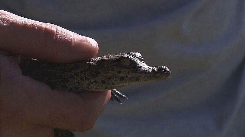 . – Bild: ANIXE HD