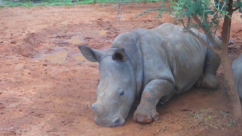 . – Bild: ANIXE HD