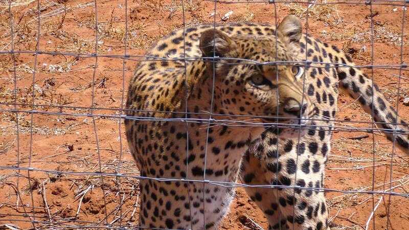 . – Bild: ANIXE HD