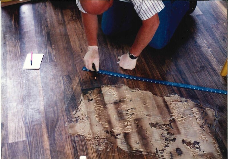 Bild: 2019 Oxygen Cable LLC ALL RIGHTS RESERVED Lizenzbild frei