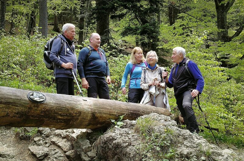 Rentner Wolfgang (li.) ist alleine an den Tennsee gereist. Er ist Einzelgänger, seit vielen Jahren. Aber hier traut er sich und bricht auf zu einer Enzianwanderung mit einer fremden Gruppe. – Bild: MDR/​timeline