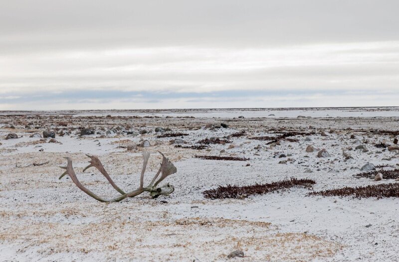 Bild: Licensed by BOAT ROCKER RIGHTS, Inc.