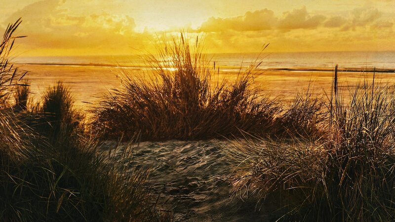 NAKED AND AFRAID 7 – Bild: DLTO /​ Discovery Communications, LLC