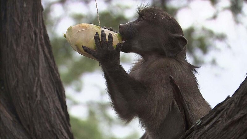 . – Bild: ANIXE HD