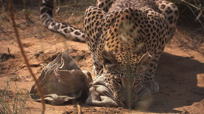 . – Bild: ANIXE HD