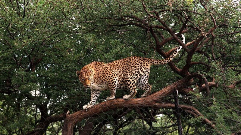 . – Bild: ANIXE HD