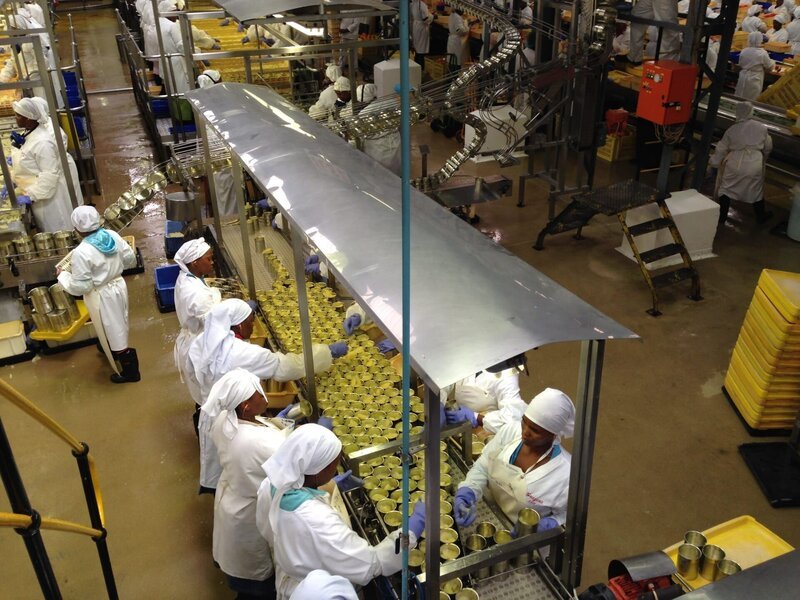 Canning of grapefruit production line. – Bild: Discovery Communications. /​ Wag TV. /​ Wag TV