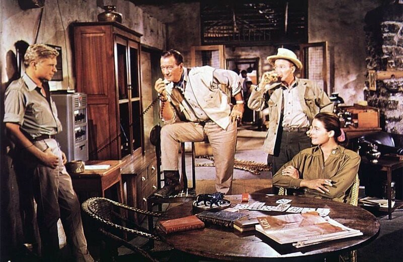 Hatari – Bild: dr /​ Marlyse Press Photo/​MPP