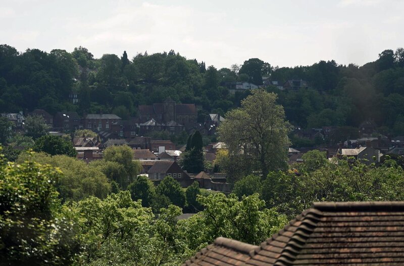 Grün, romantisch und mysteriös: Surrey ist die waldreichste Grafschaft Englands. – Bild: Elephant Doc