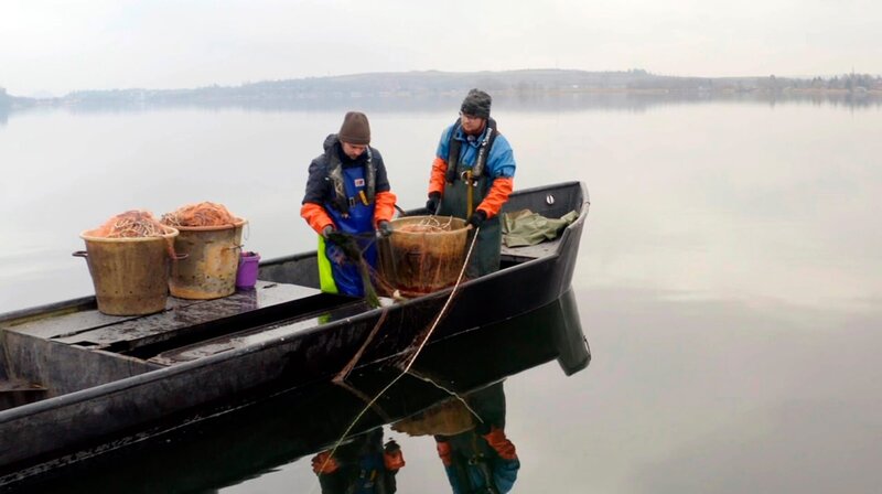 Morgenfischen am Kernersee – Bild: MDR/​Schmidt-Film