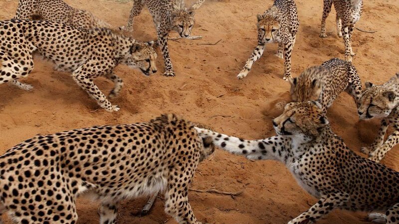 . – Bild: ANIXE HD