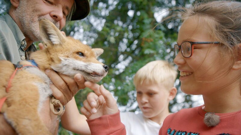 Alida und Aaron streicheln den Fuchs-Findling, den Thomas wieder aufpäppelt. – Bild: MDR/​Cine Impuls Leipzig