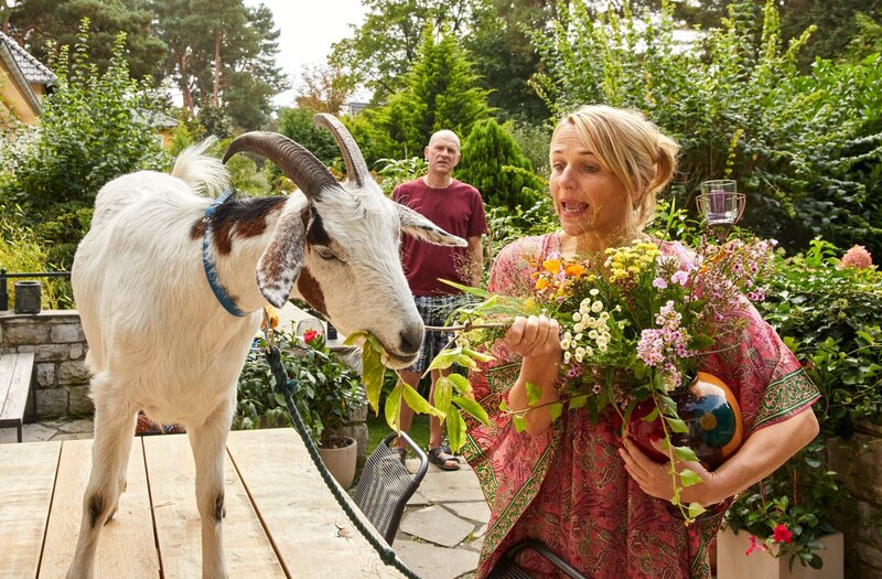 Klima retten für Anfänger – Bild: ZDF und ARD Degeto/​Michael Handelmann