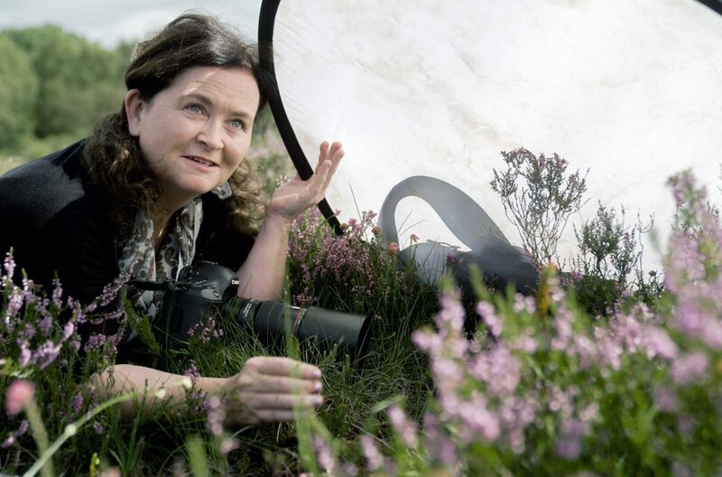 Makrofotografin Tina Claffey verbringt viel Zeit im Moor Killaun Bog. – Bild: Florianfilm