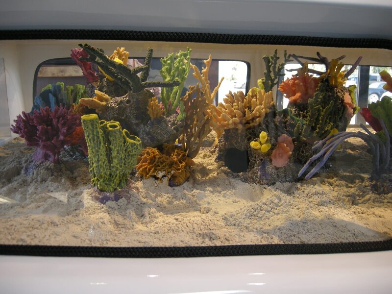 Aquarium – Bild: The National Geographic Channel