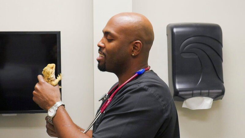 Bild: Discovery Communications, LLC