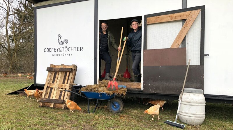 Ausmisten für’s Hühnerglück- Tarik packt bei Lars natürlich mit an. – Bild: ZDF und NDR/​Svenja Halberstadt