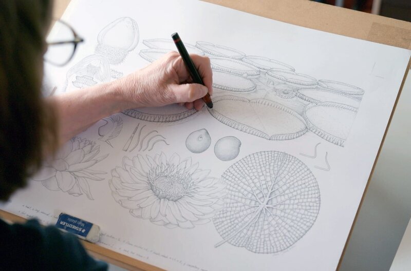 Die Welt der Botanischen Gärten – Bild: Roland Wagner