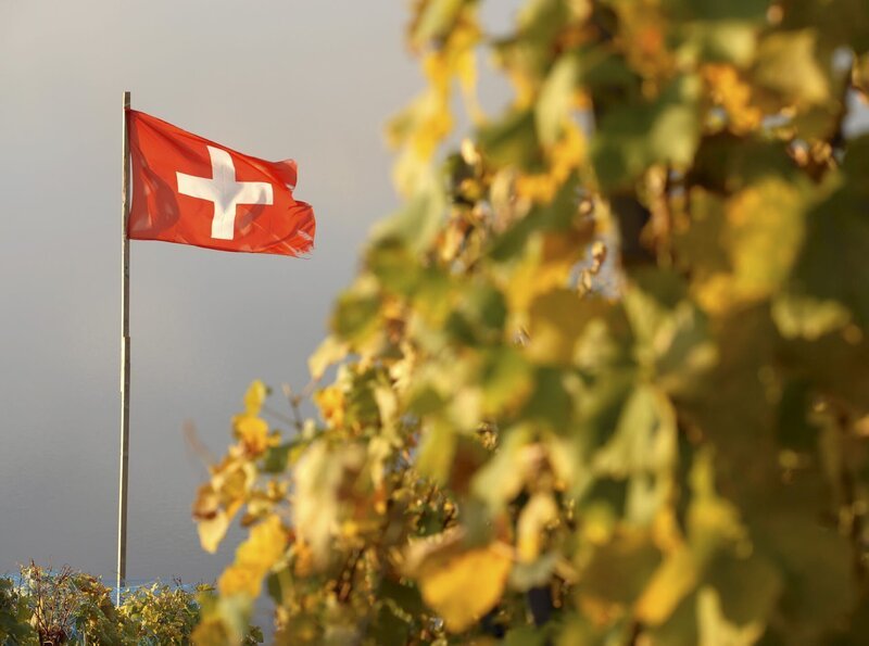 Lavaux, Schweiz – hier werden die Trauben sonnenverwöhnt. – Bild: ZDF/​SWR, Alfons Früh