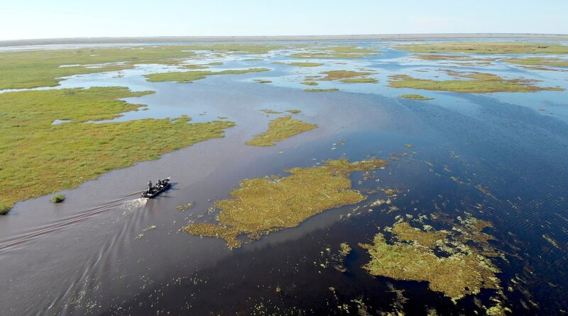 Das Team verlegt seine Suche in die Ibera Wetlands, ein riesiges und abgelegenes Gebiet, in dem es viel weniger zerstörerische menschliche Aktivitäten gibt. Es ist ein sumpfiges Labyrinth aus Bächen und Lagunen, in dem sich wahrhaft riesige Stachelrochen verstecken. (Ungezähmte Produktionen 4 Inc.) – Bild: Untamed Productions 4 Inc