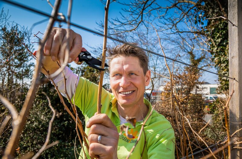 Peter Rasch. – Bild: NDR/​Udo Tanske