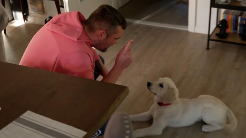 Marwin mit Golden Retriever Hündin „Leila“. – Bild: RTL /​ Mina TV