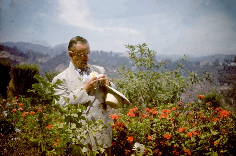 Bekenntnisse des Hochstaplers Thomas Mann – Bild: Thomas Mann Archiv