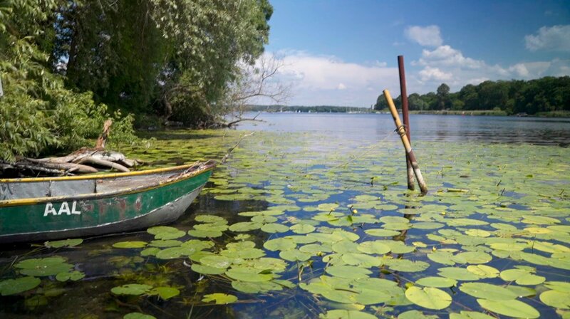 Unterwegs zu den schönsten Berliner Inseln in Dahme, Havel und Spree. Das rbb Fernsehen nimmt die Zuschauerinnen und Zuschauer mit auf eine außergewöhnliche Entdeckungstour mit faszinierenden Luftaufnahmen, vielen Tipps und Begegnungen: von der Schlossinsel Köpenick nach Valentinswerder, von der „Insel der Jugend“ zur Pfaueninsel. – Valentinswerder. – Bild: rbb