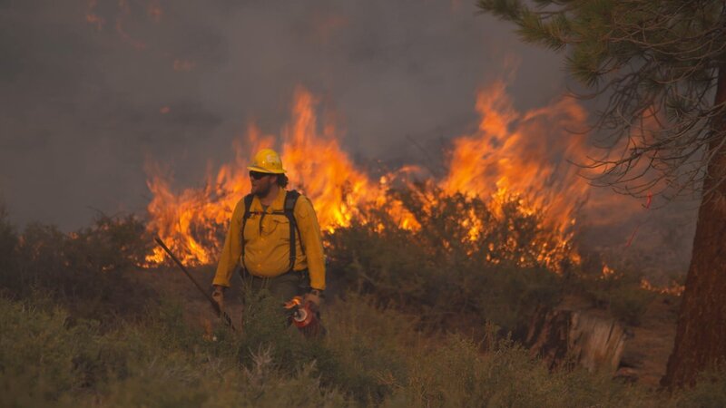 Die Feuerwehr löscht hier nicht nur. Sie legt auch gezielt Brände im Yosemite-Nationalpark, um die Entwicklung der Natur zu steuern. – Bild: ZDF und Christian Bock